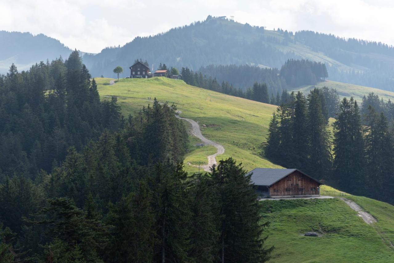Peterhof Chalets Batschuns Εξωτερικό φωτογραφία